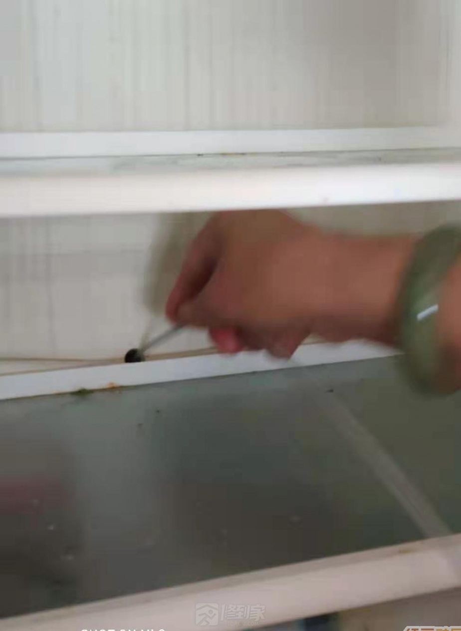 冰箱密封条怎么清洗